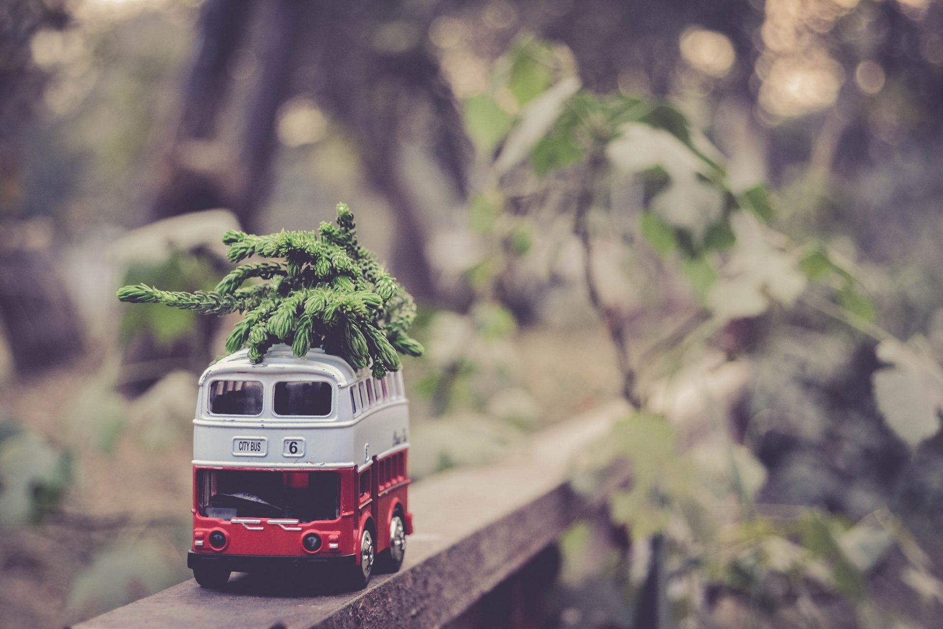 Download Bokeh Branch Fir Bus Man Made Toy HD Wallpaper
