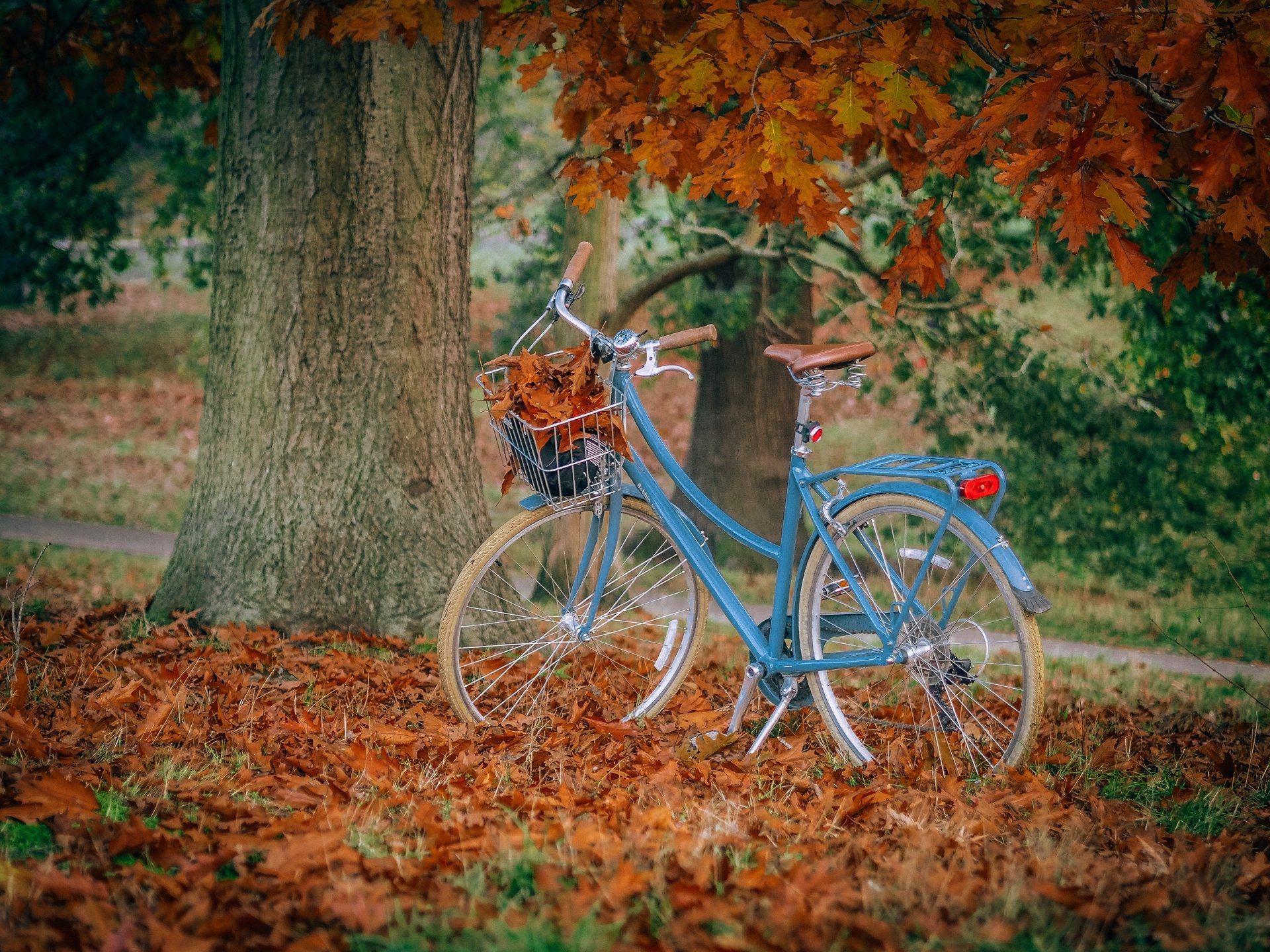 Download Fall Vehicle Bicycle HD Wallpaper