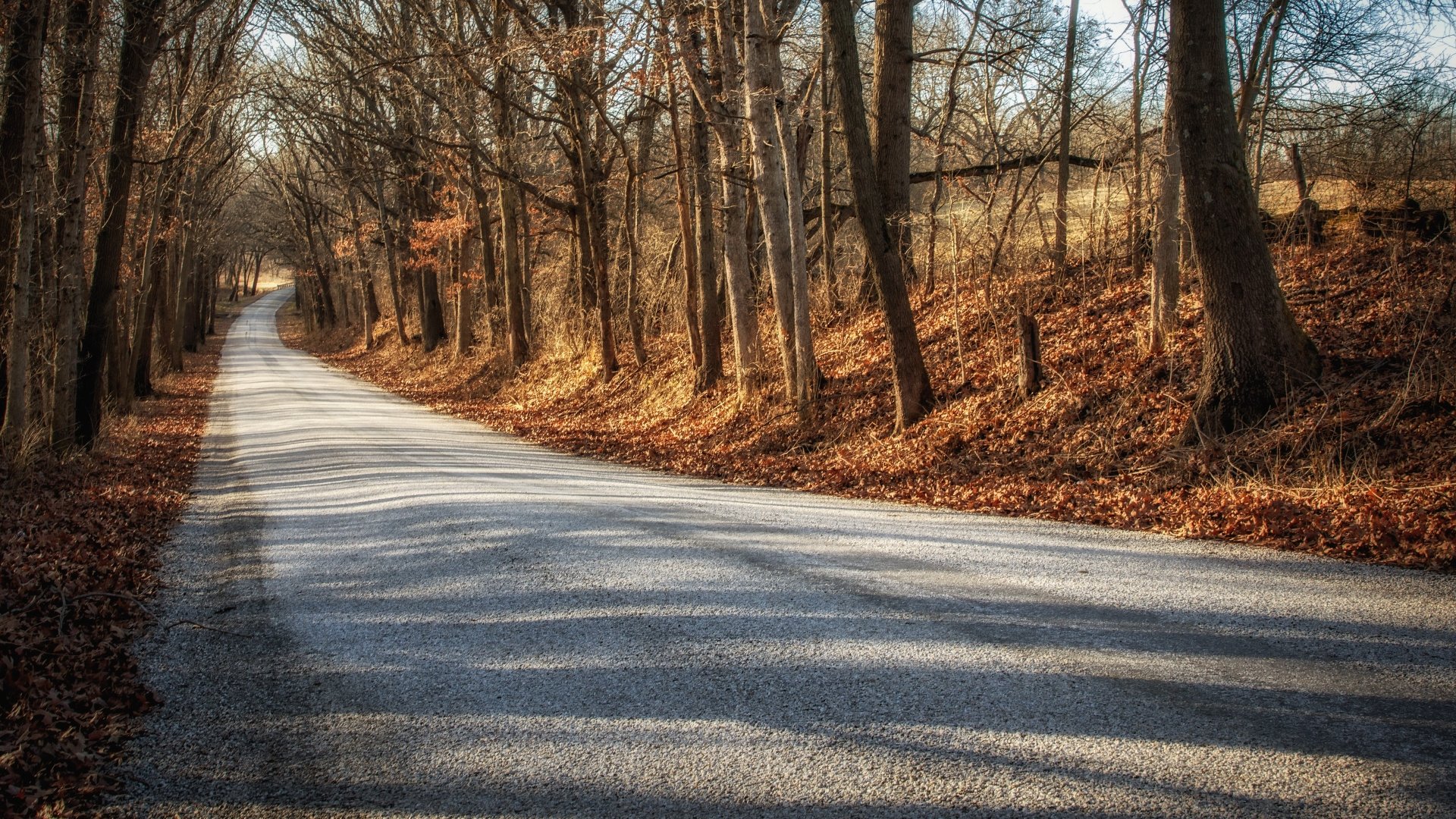 Download Nature Tree Fall Man Made Road 4k Ultra HD Wallpaper ...