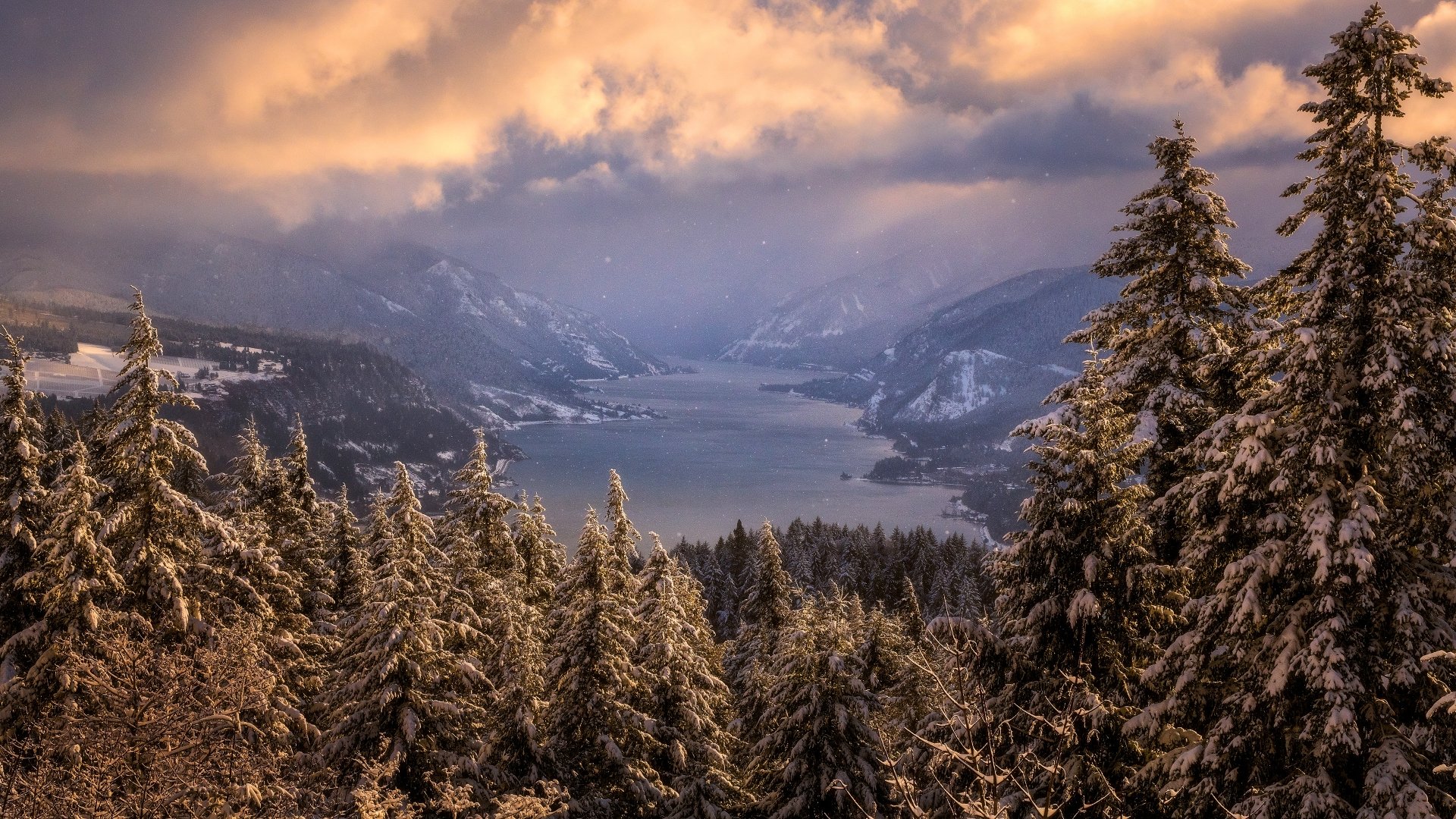Download Pond Fog Spruce Mountain Snow Cloud Forest Nature Winter Snowy ...