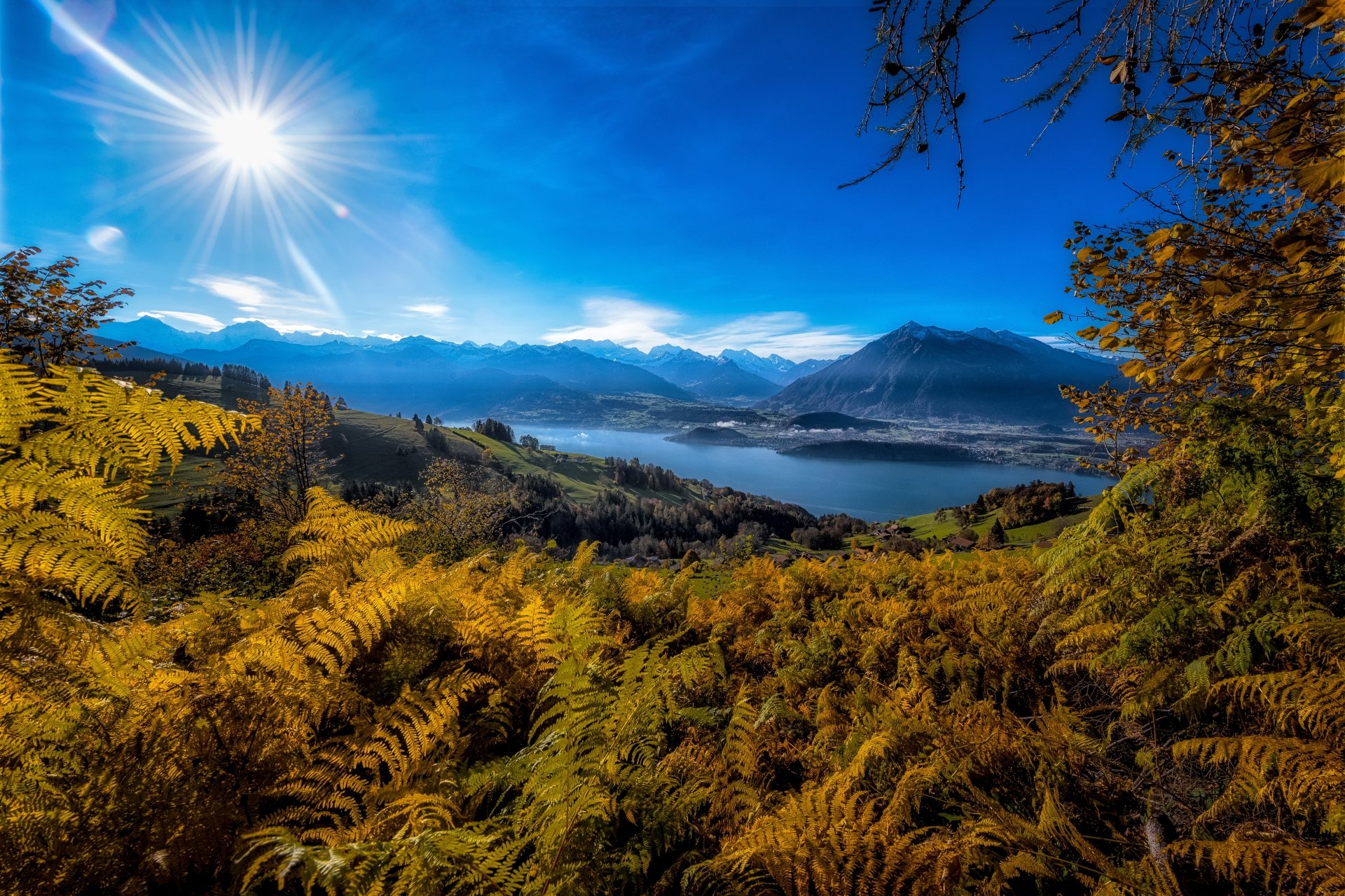 5K Ultra HD PC desktop wallpaper: golden ferns in foreground, mountains and a lake under a bright sunbeam — a vivid nature scene beneath a blue sky.