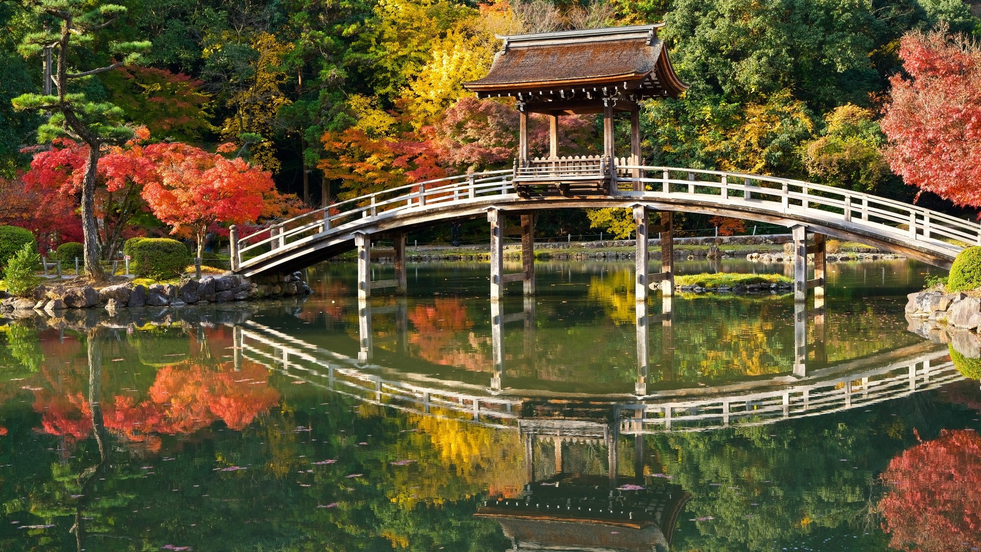 A man-made gazebo and curved bridge reflect beautifully on a serene park pond, surrounded by vibrant fall foliage in this 4K Ultra HD desktop wallpaper.