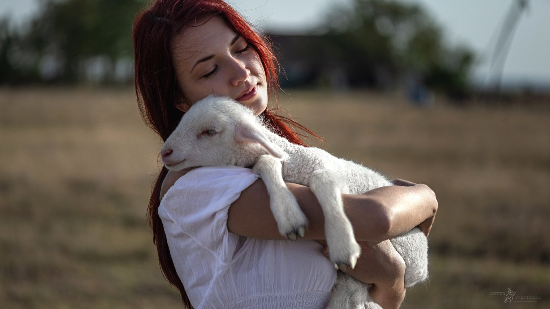 Download Redhead Lamb Woman Mood HD Wallpaper by Goran Dobožanov