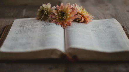 book religious bible HD Desktop Wallpaper | Background Image