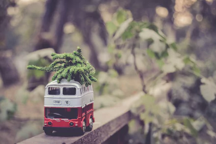 bokeh branch fir bus man made toy HD Desktop Wallpaper | Background Image