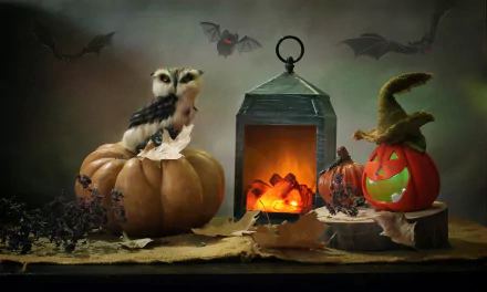 2K Quad HD PC desktop wallpaper/background: Halloween holiday still life with burlap, glowing lantern, carved and natural pumpkins, an owl perched on a pumpkin, scattered leaves and bats.