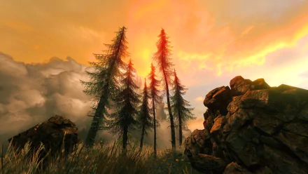 boulder fir tree nature cloud sky sunset HD Desktop Wallpaper | Background Image