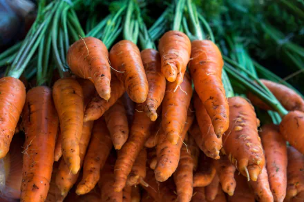 food carrot HD Desktop Wallpaper | Background Image