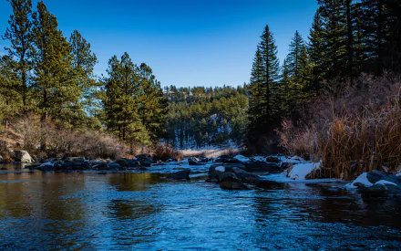 Scenic HD desktop wallpaper of Lake George, Colorado, featuring clear lake water, natural stone formations, and pine trees under a bright blue sky.