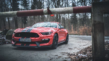 muscle car car Ford Ford Mustang Ford Mustang Shelby vehicle Ford Mustang Shelby GT350 HD Desktop Wallpaper | Background Image
