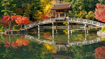 A man-made gazebo and curved bridge reflect beautifully on a serene park pond, surrounded by vibrant fall foliage in this 4K Ultra HD desktop wallpaper.