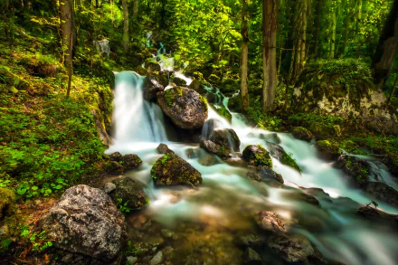 Bavaria Germany nature stream HD Desktop Wallpaper | Background Image