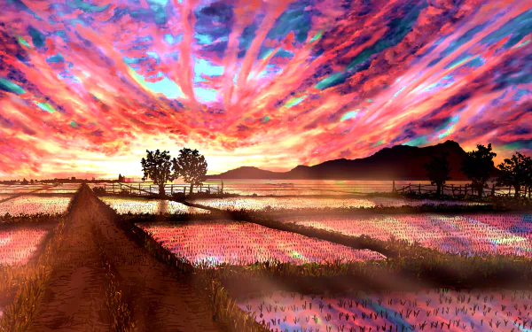 Anime-style HD desktop wallpaper depicting a vibrant sunset sky over a serene paddy field with reflective water and silhouetted trees in a natural landscape.