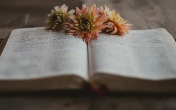 book religious bible HD Desktop Wallpaper | Background Image