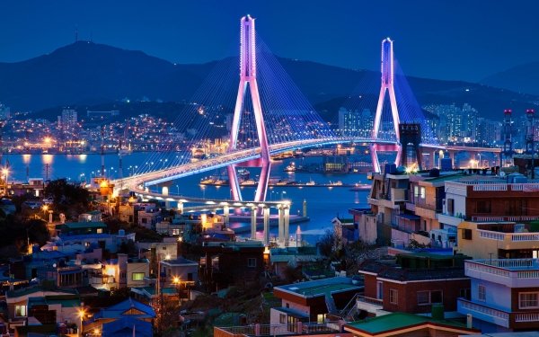 Man Made Busan Cities South Korea Bridge Building Bay HD Wallpaper | Background Image