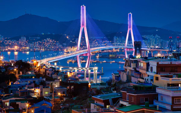 South Korea bay building bridge man made Busan HD Desktop Wallpaper | Background Image