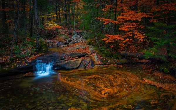 Nature Stream Fall Forest HD Wallpaper | Background Image