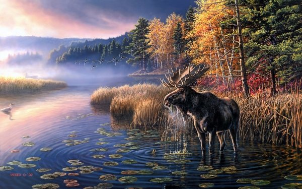 Animal Moose Fall Bird Fog Lake Dawn Heron HD Wallpaper | Background Image