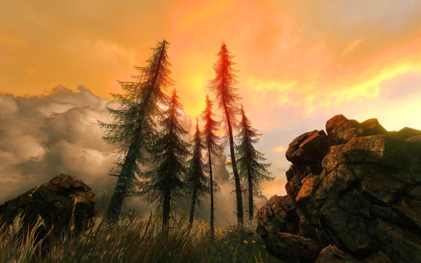 boulder fir tree nature cloud sky sunset HD Desktop Wallpaper | Background Image