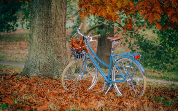 fall vehicle bicycle HD Desktop Wallpaper | Background Image