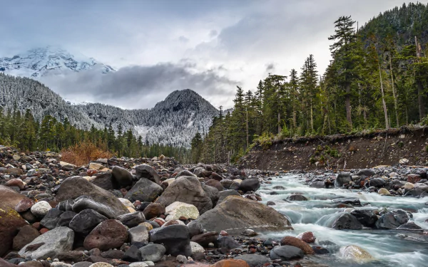 mountain stream stone nature Mount Rainier HD Desktop Wallpaper | Background Image