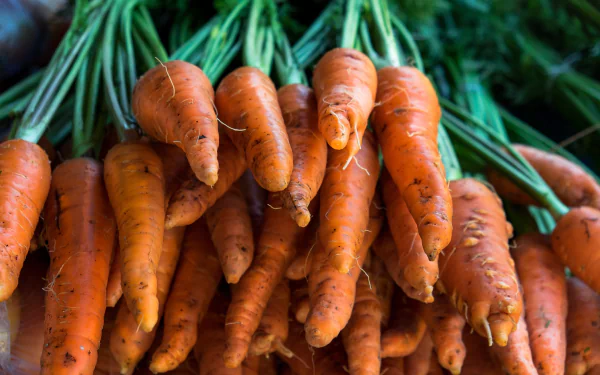 food carrot HD Desktop Wallpaper | Background Image