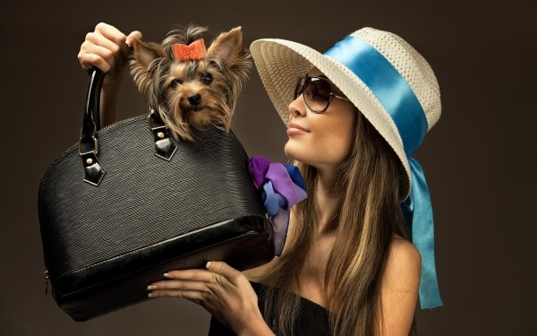 Women Model Models Mood Hat Sunglasses Handbag Yorkshire Terrier Dog Brunette HD Wallpaper | Background Image