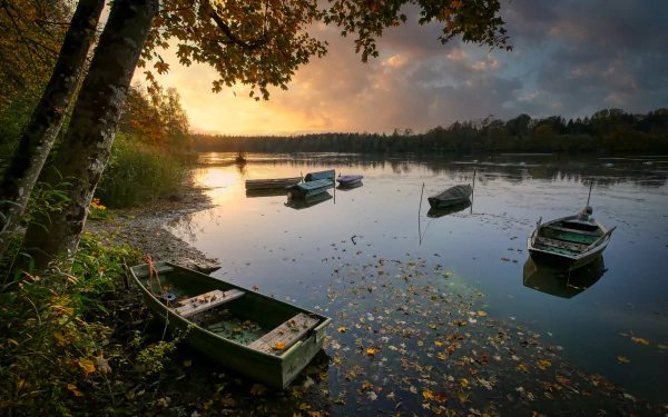 5K Ultra HD PC desktop wallpaper: autumn lakeshore at sunset, small boats (water vehicles) moored near the shore, fallen leaves floating on calm reflective water.