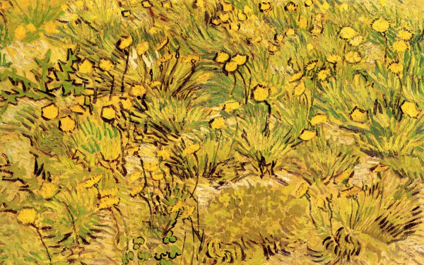 Artistic 2K Quad HD PC desktop wallpaper: Vincent Van Gogh–inspired yellow flower field rendered with thick, swirling brushstrokes and vibrant painterly texture.