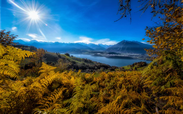 5K Ultra HD PC desktop wallpaper: golden ferns in foreground, mountains and a lake under a bright sunbeam — a vivid nature scene beneath a blue sky.