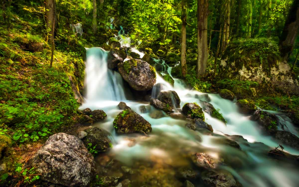 Bavaria Germany nature stream HD Desktop Wallpaper | Background Image