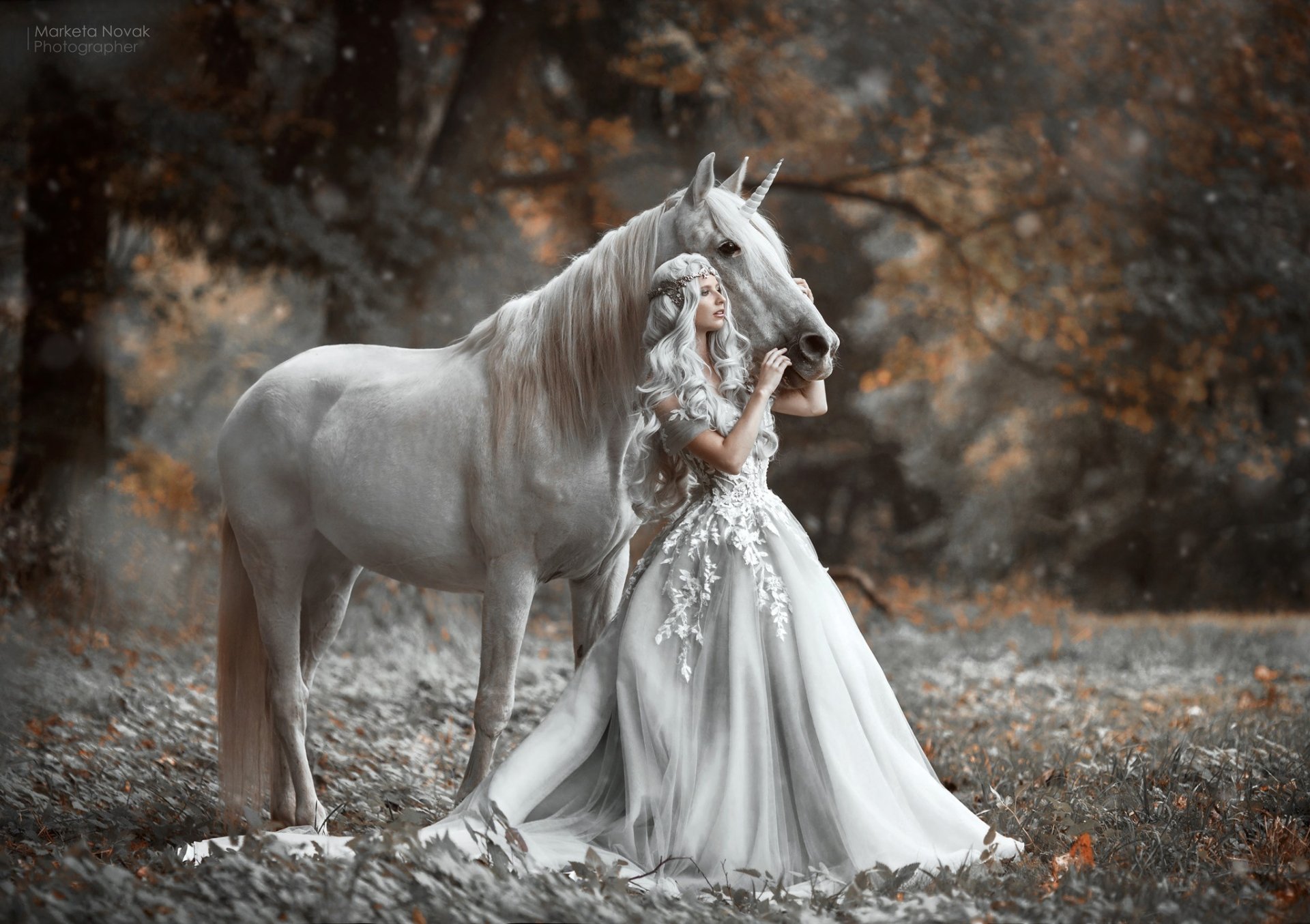 HD PC desktop wallpaper/background: white-haired woman model with long hair in a flowing white dress standing beside a white horse in a soft, autumnal forest.