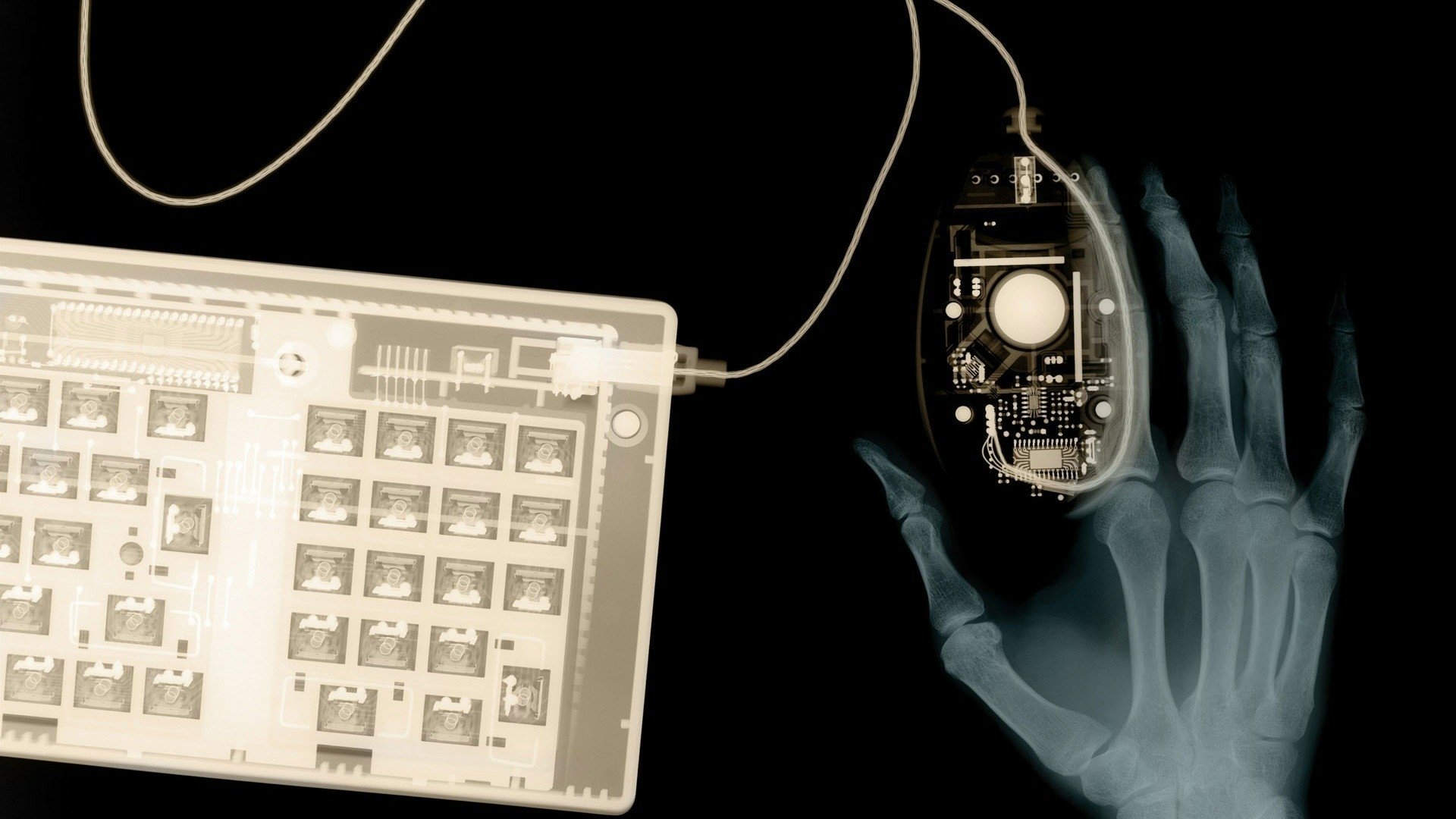 An X-ray vision themed HD desktop wallpaper showcasing a hand holding a computer mouse with internal circuitry visible.