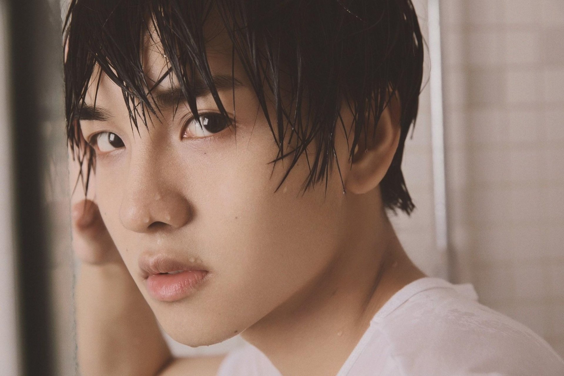 Download Celebrity Zheng Fan Xing HD Wallpaper