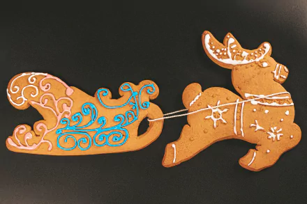 sleigh deer food cookie HD Desktop Wallpaper | Background Image