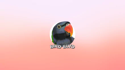  Bird Blvd - Valentino