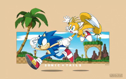 HD PC wallpaper: Sonic the Hedgehog and Miles Tails Prower sprint across a Green Hill–style stage, blue- and green-eyed duo in sneakers — Sonic Channel video game art.