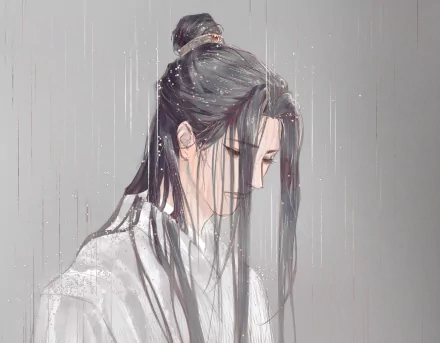 Lan Wangji Anime Mo Dao Zu Shi HD Desktop Wallpaper | Background Image