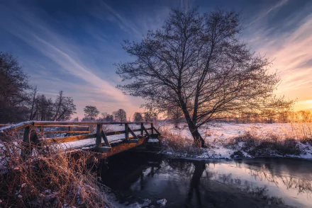 river tree bridge photography winter HD Desktop Wallpaper | Background Image
