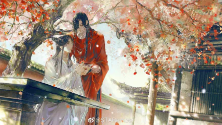 HD anime desktop wallpaper featuring Xie Lian and San Lang (Hua Cheng) from Heavenly Official’s Blessing and Crimson Rain Sought Flower, set under blossoming plum trees.