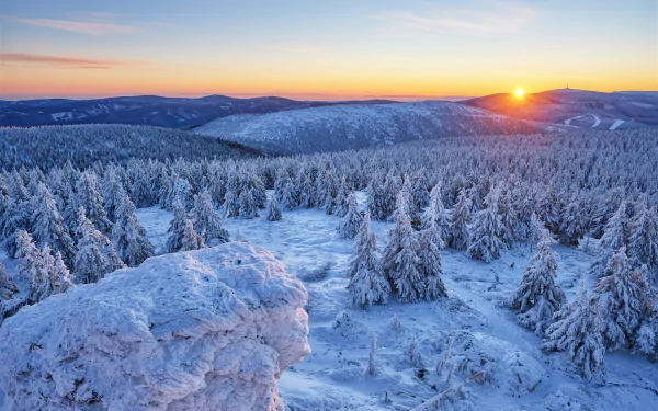Snow-covered mountain forest in the Czech Republic at sunrise, showcasing a serene winter landscape with frosted trees and clear skies in this HD desktop wallpaper.