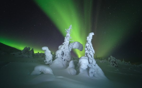 Earth Aurora Borealis Winter Snow Nature Night HD Wallpaper | Background Image