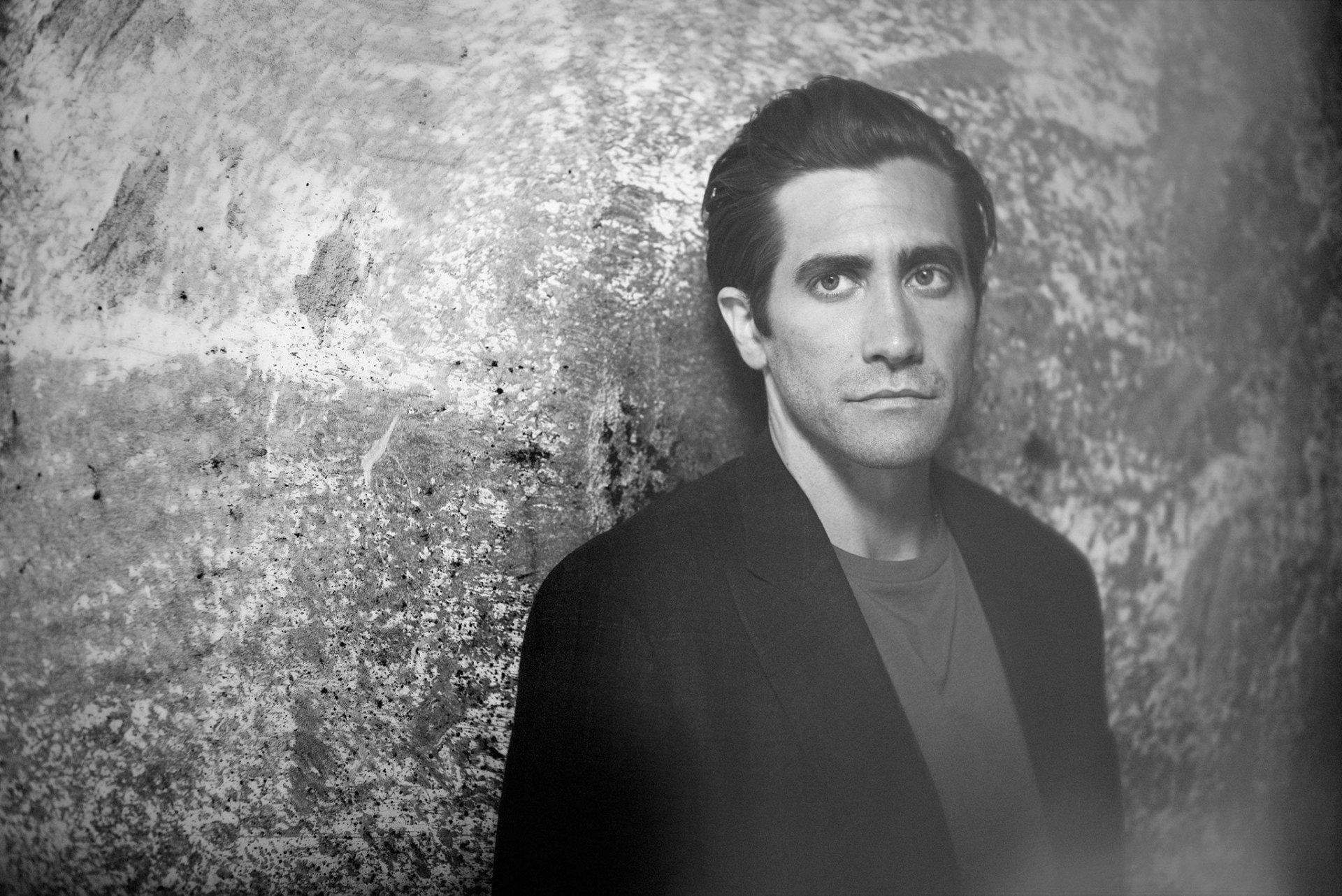 Download Celebrity Jake Gyllenhaal HD Wallpaper