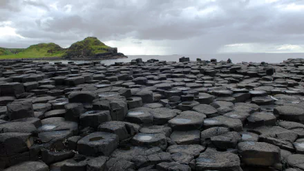  Giant's Causeway on the Coast of Ireland by Herbert Bieser