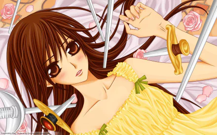 Yuki Cross Anime Vampire Knight HD Desktop Wallpaper | Background Image