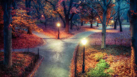 4K Ultra HD photography of a serene park at dusk, showcasing glowing street lamps, winding pathways, and colorful autumn foliage.
