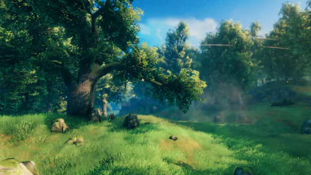 HD desktop wallpaper featuring the lush, sunlit landscape of Valheim with towering trees and misty ambiance.