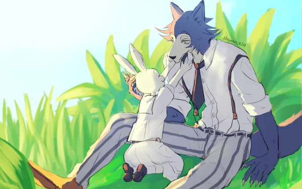 Legosi (Beastars) Haru (Beastars) Anime Beastars HD Desktop Wallpaper | Background Image
