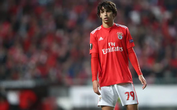 soccer Portuguese Joao Felix Sports HD Desktop Wallpaper | Background Image