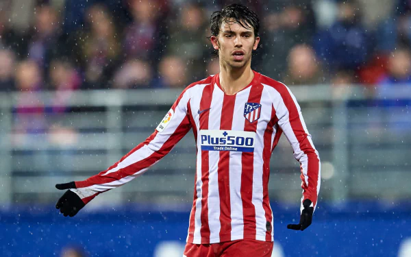 soccer Portuguese Joao Felix Sports HD Desktop Wallpaper | Background Image